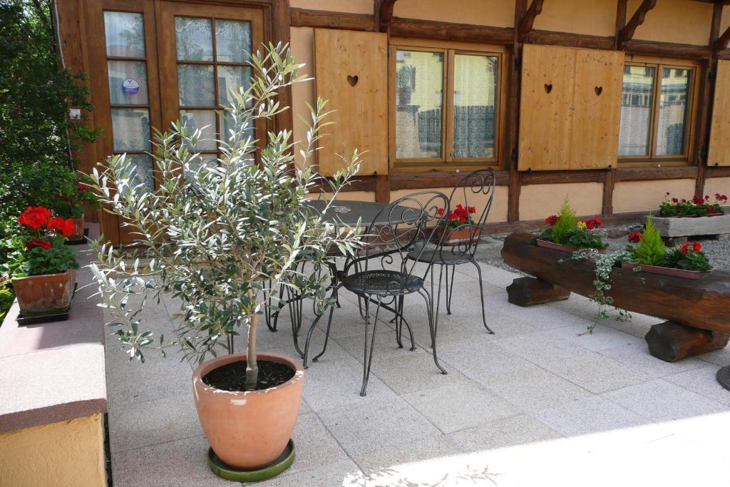 Gite de la Streng Ribeauvillé Habitación foto